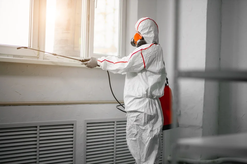 Professional mold remediation services in Ravenna, MI